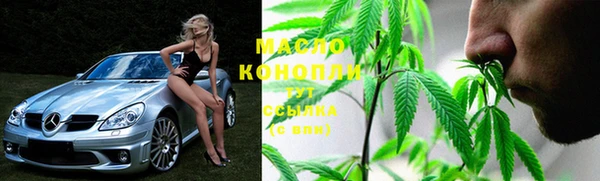 амф Бородино