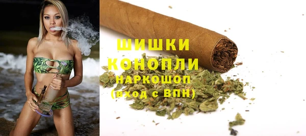 СК Богородицк