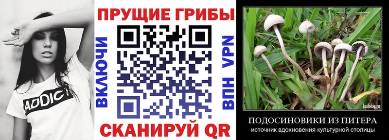 Псилоцибиновые грибы Magic Shrooms Вилючинск
